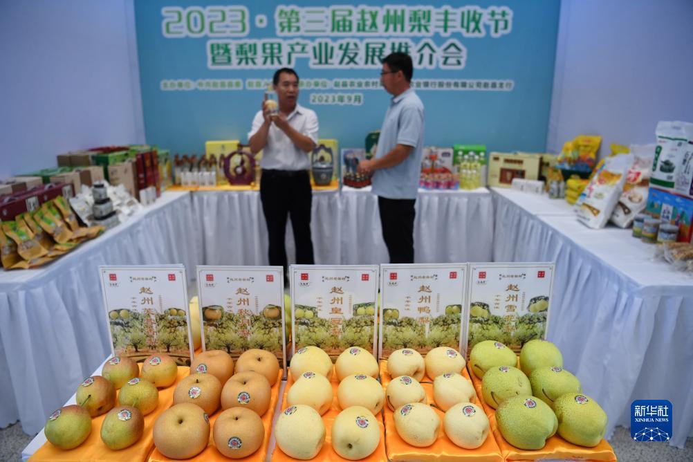 老虎机如何手动上分